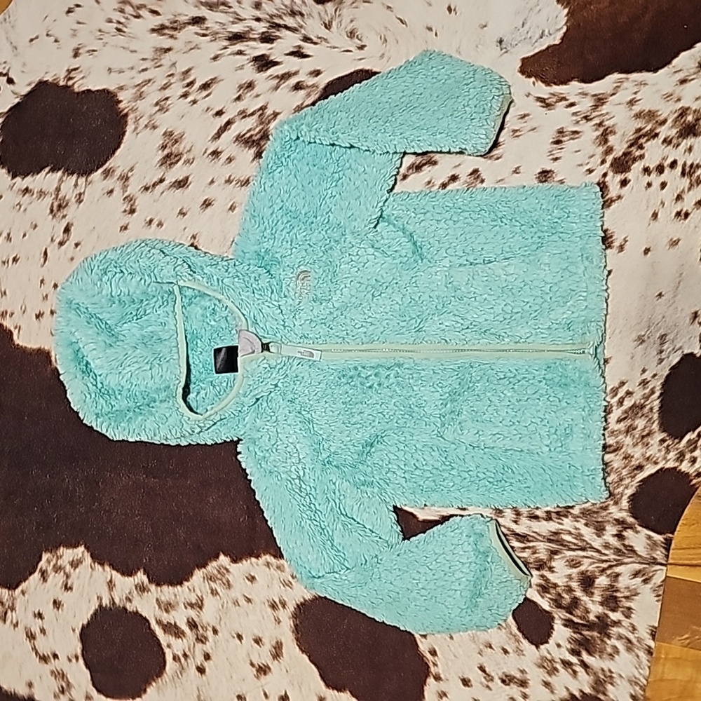 The North Face Jacket